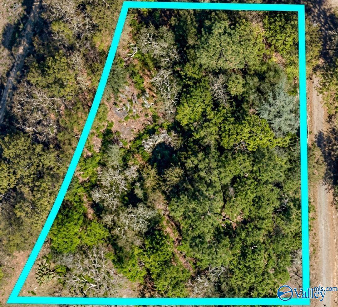 1.5 acres 6th Street - Photo 1