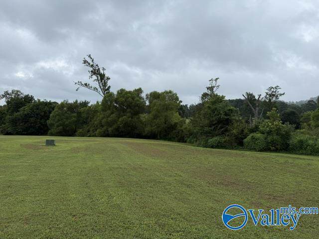 1 Al Hwy 69 - Photo 1
