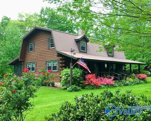 684 Mardis Point Road - Photo 1
