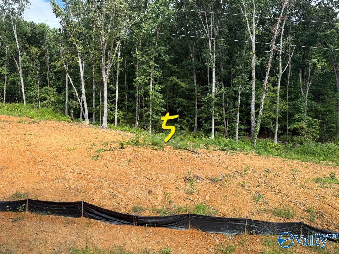 Lot 5 County Road 114 - Photo 1