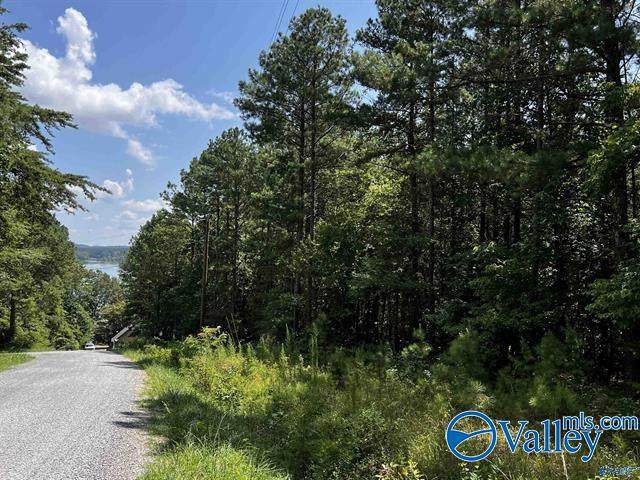 LOT 14 County Road 592 - Photo 1