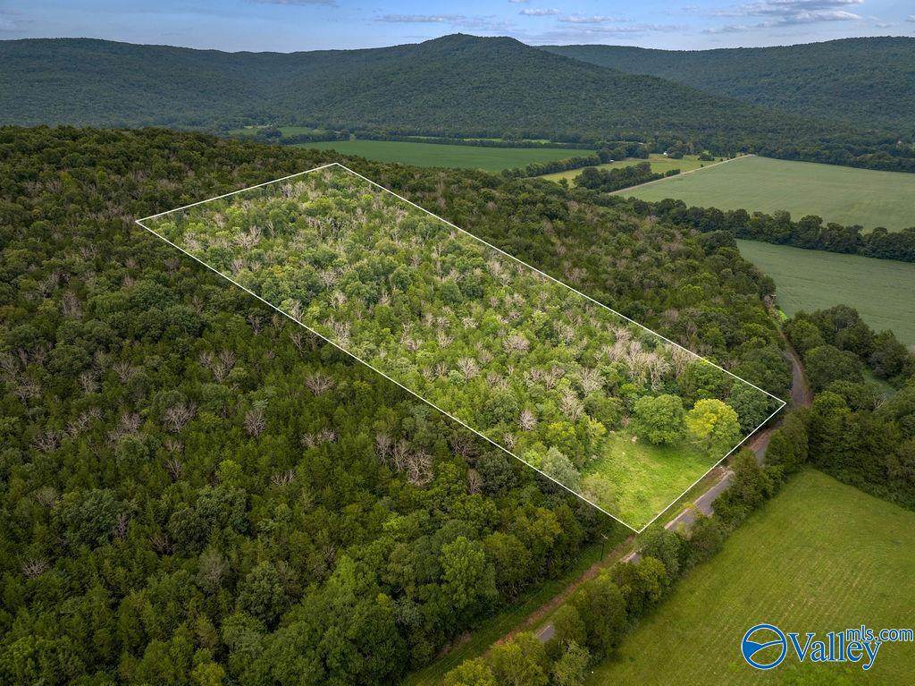 9 Acres County Road 171 - Photo 1
