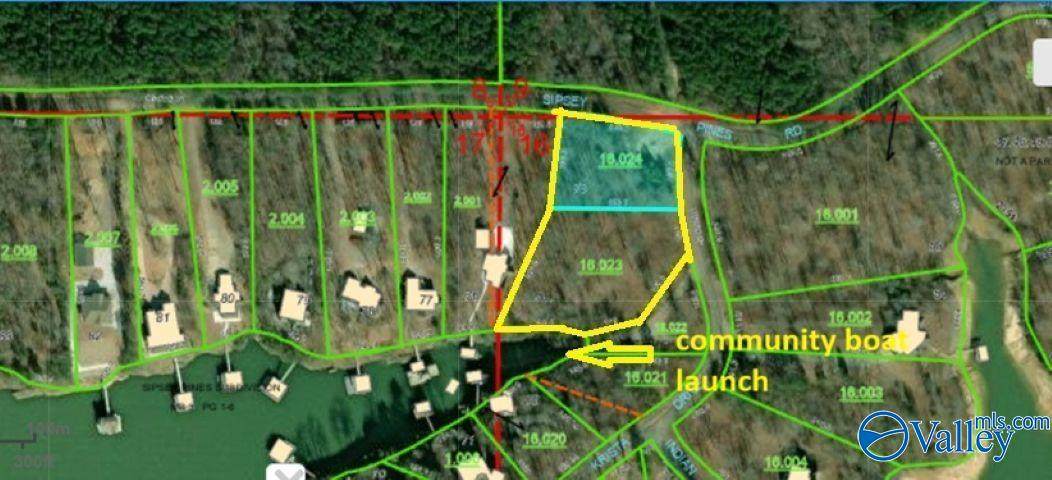 Lot 74, 75 Sipsey Pines Road - Photo 1