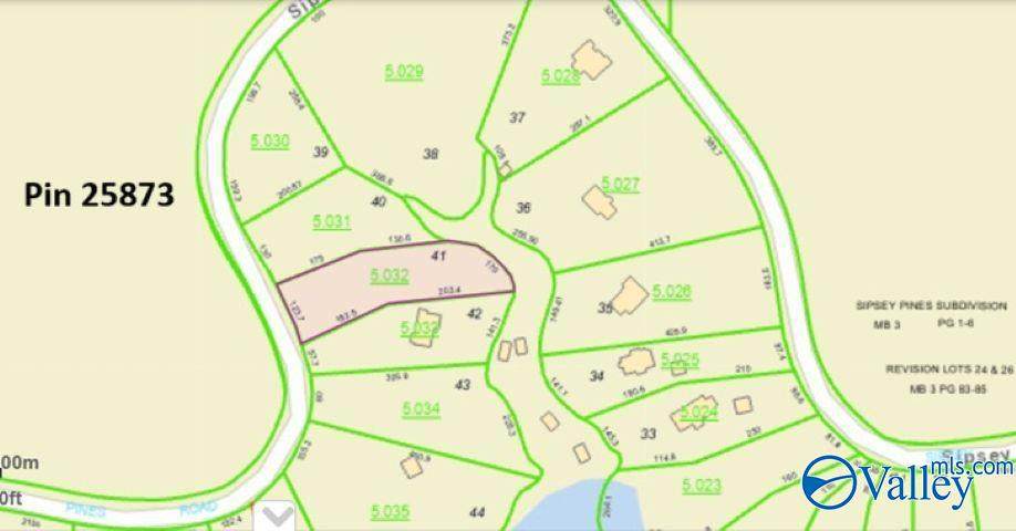 Lot 41 Sipsey Pines Road - Photo 1