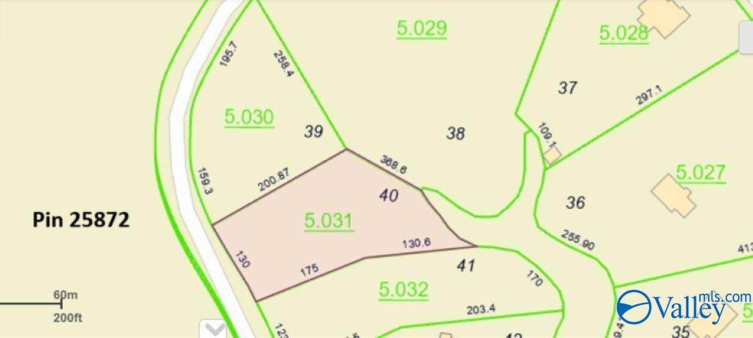 Lot 40 Sipsey Pines Road - Photo 1
