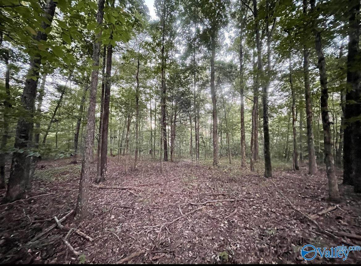 418 Manchester Drive - Photo 1
