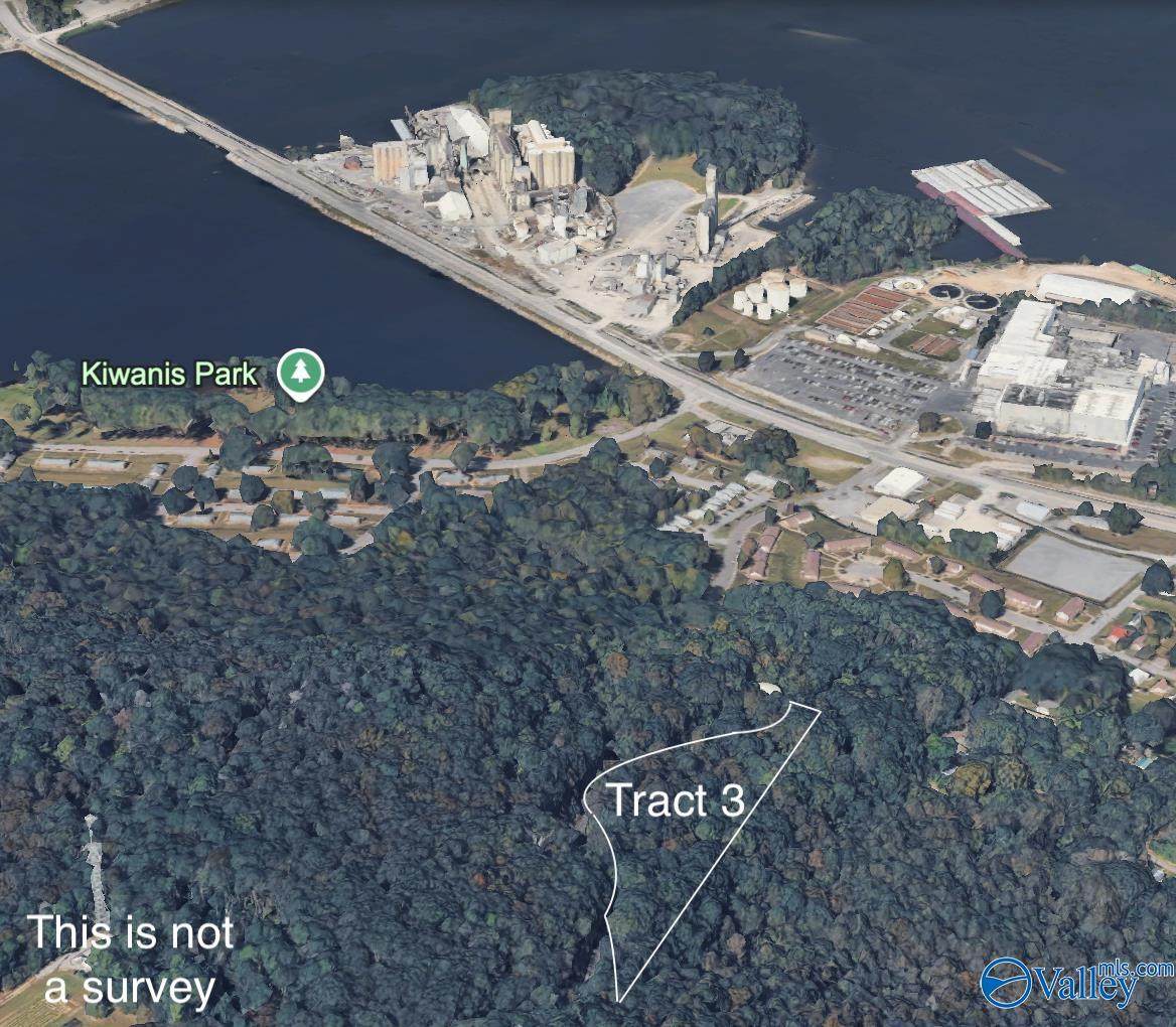 Tract 3 Wyeth Mountain Road - Photo 1