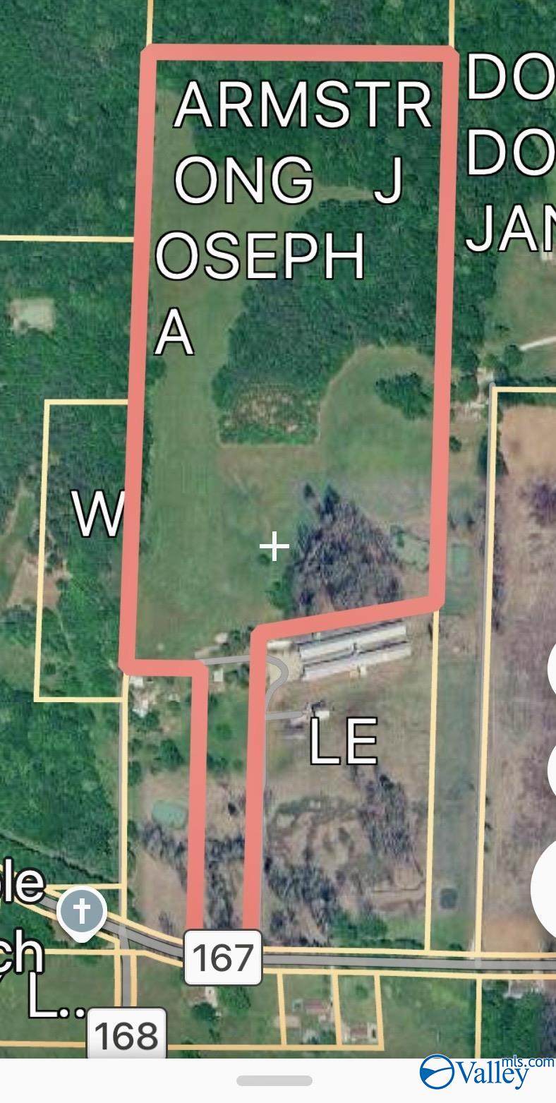 1701 County Road 168 - Photo 1