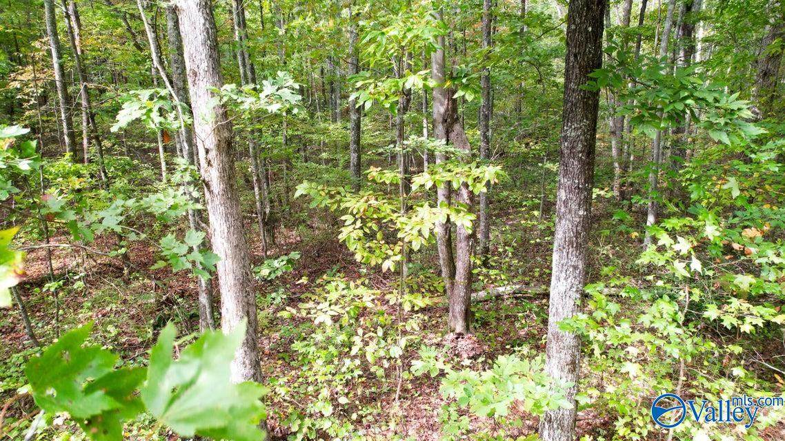 4.16 Acres Stewart Lane - Photo 1
