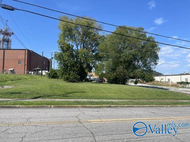 .26 ac Chestnut Street - Photo 1