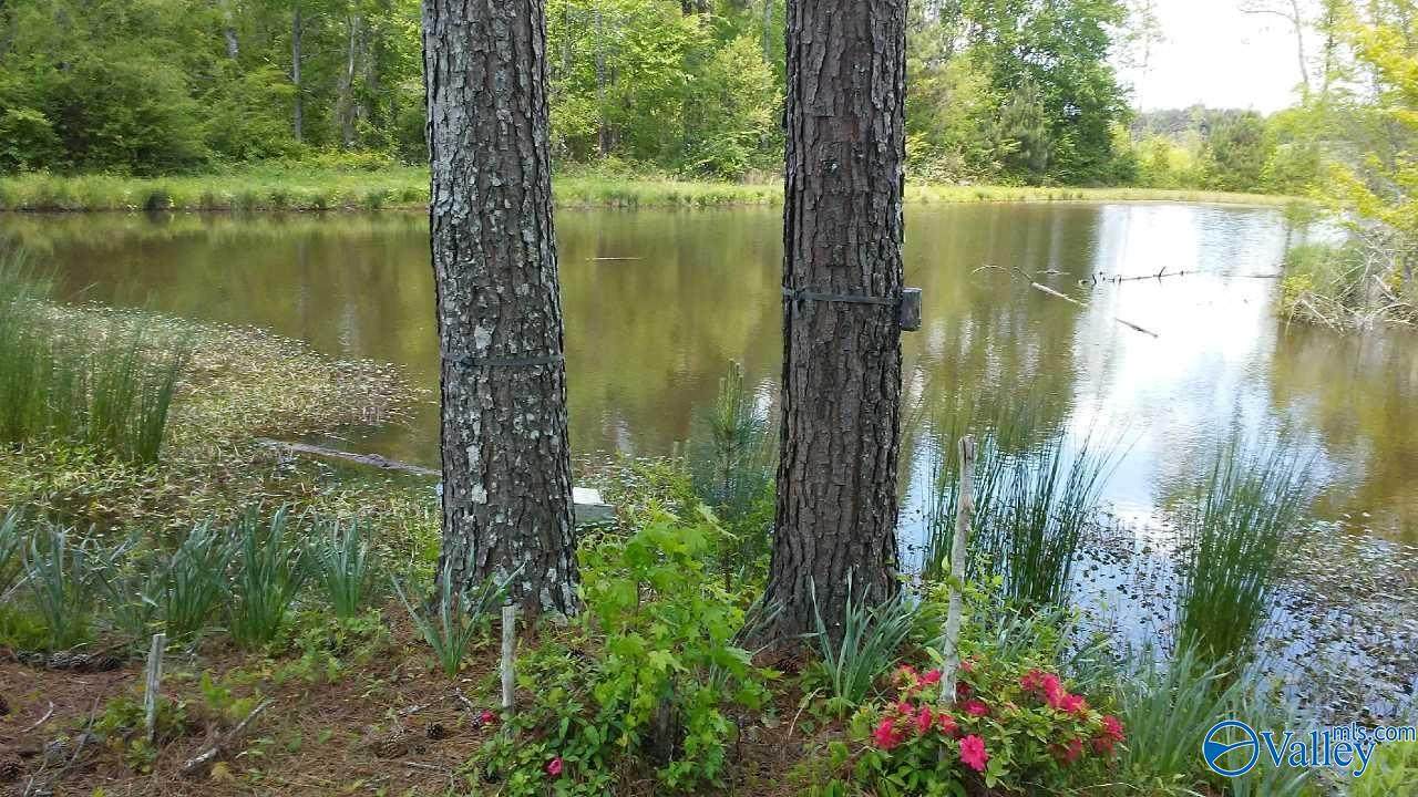193AC County Road 1069 - Photo 1