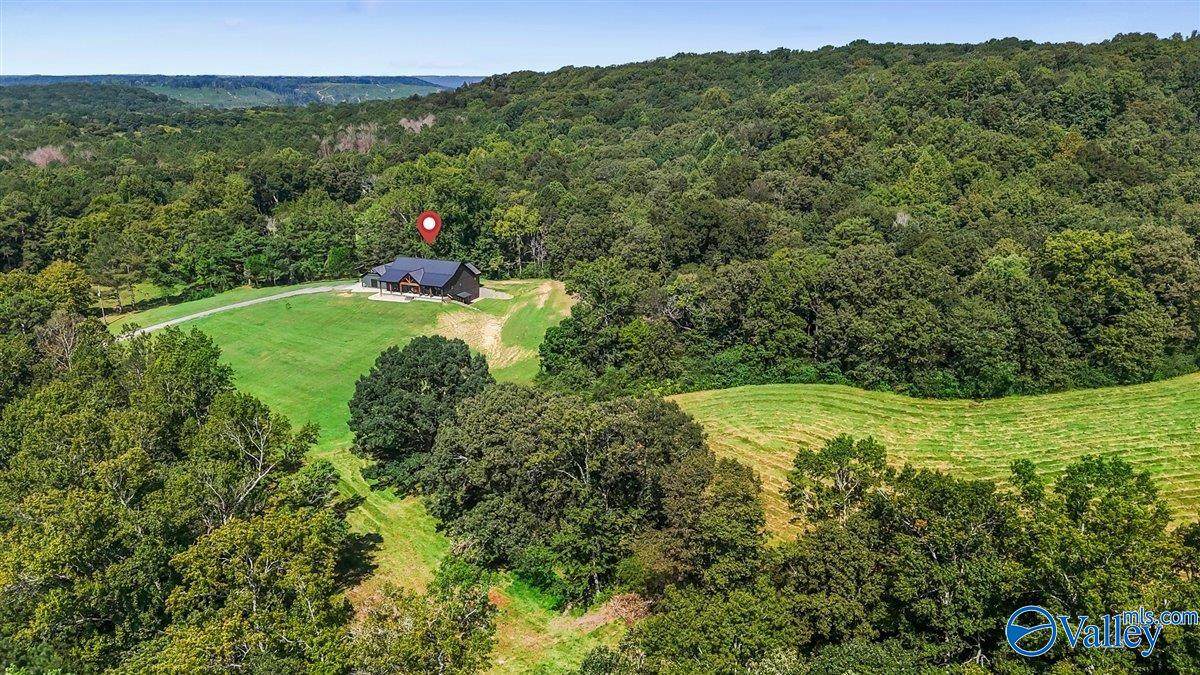 1128 Double S Mountain Road - Photo 1