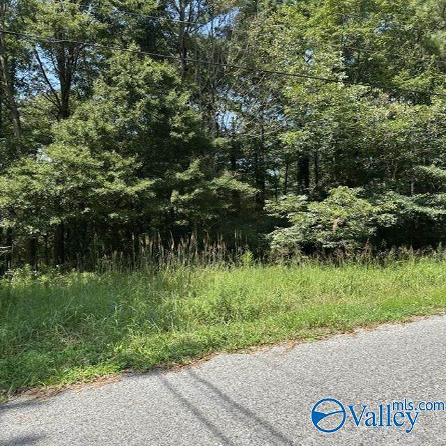 Lot 11 Dry Creek Road - Photo 1
