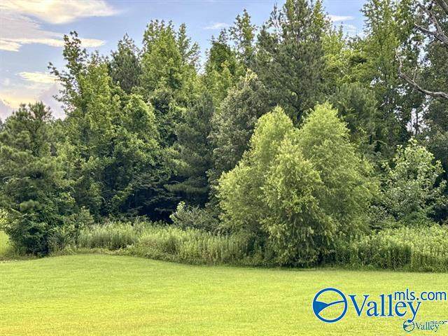 4250 Bennich Road - Photo 1