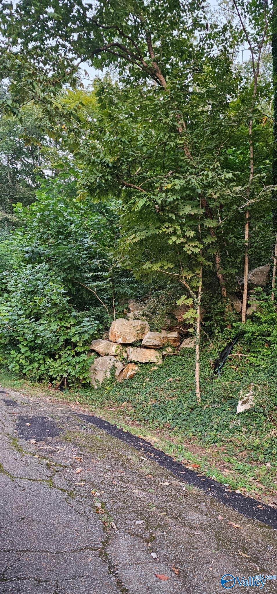2806 Colice Road - Photo 1