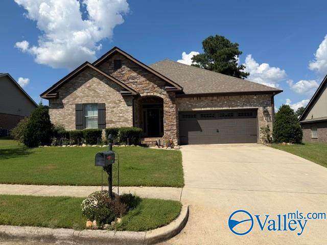 423 Fern Terrace Drive - Photo 1