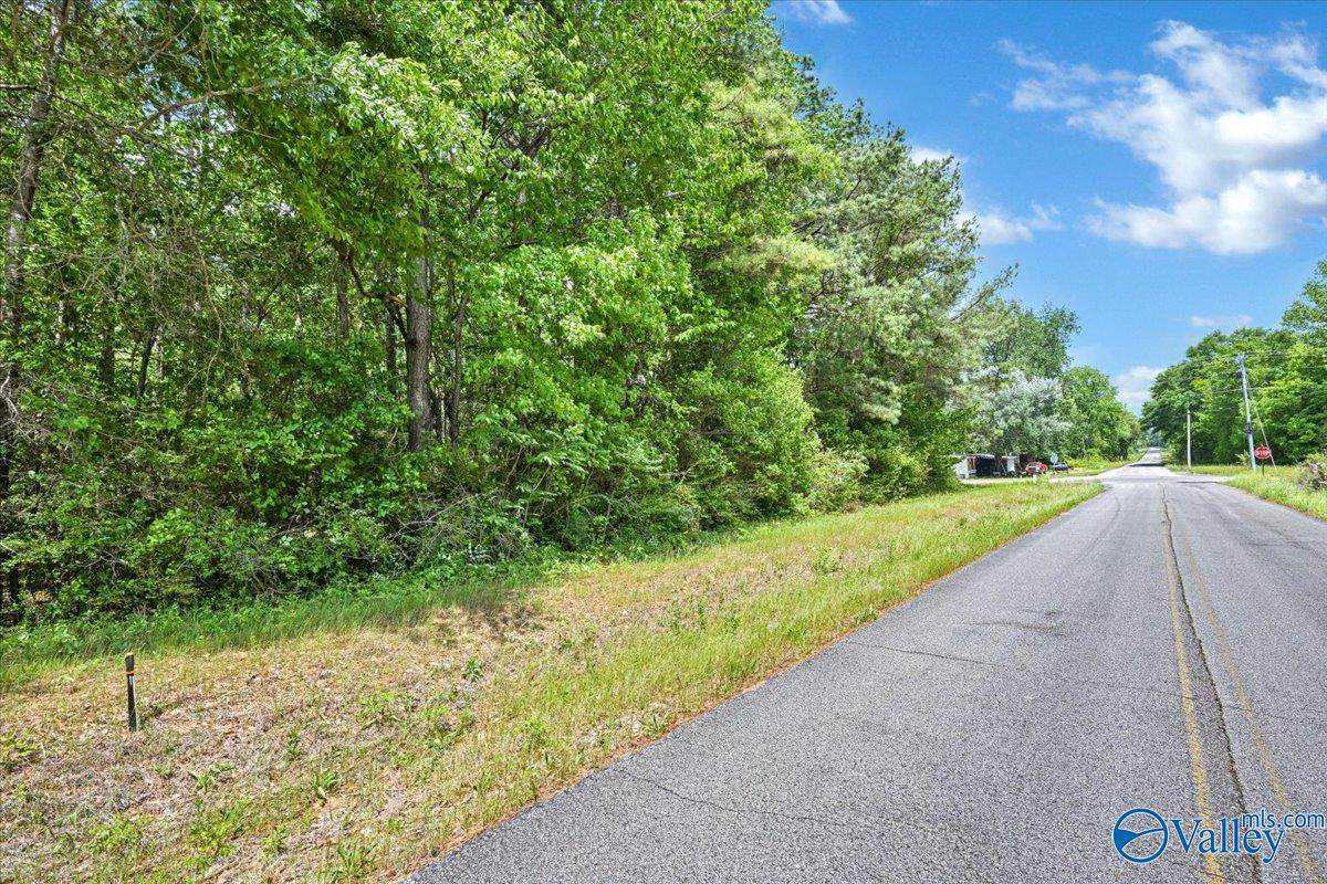 Lot 2 East Lacon Road - Photo 1