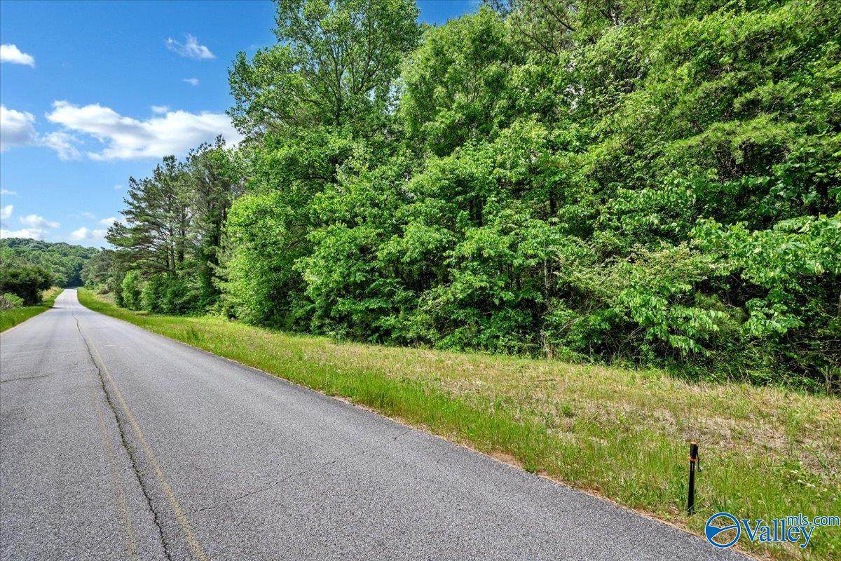 Lot 3 Mill Creek Road - Photo 1