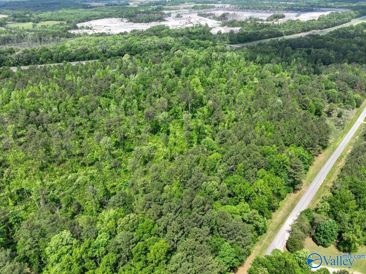 Lot 4 Mill Creek Road - Photo 1