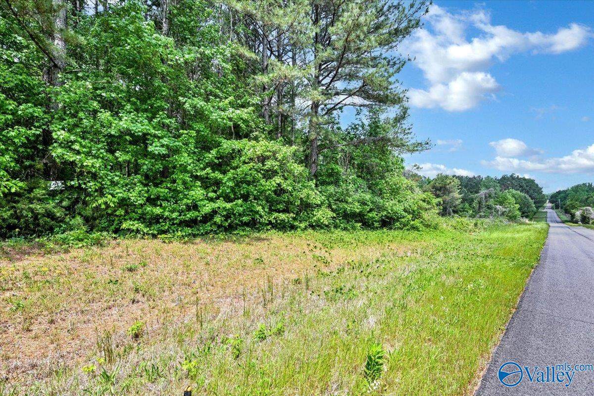 Lot 7 Mill Creek Road - Photo 1