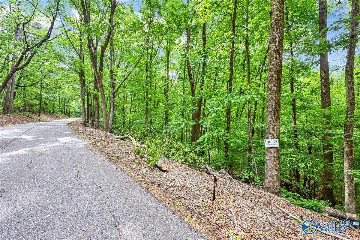 Lot 13 Mill Creek Road - Photo 1