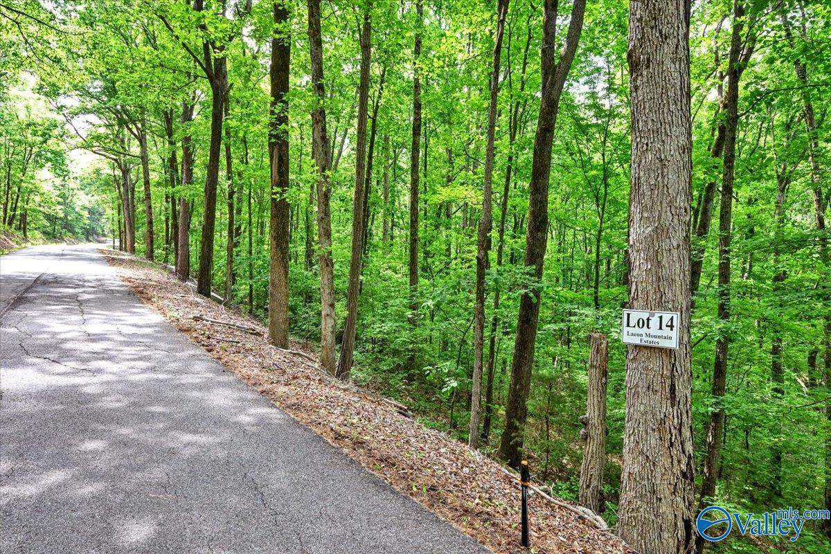 Lot 14 Mill Creek Road - Photo 1