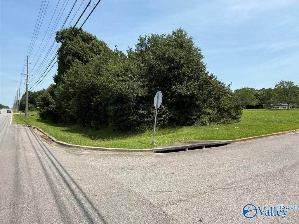 Lots 13 & 14 Sun Temple Drive - Photo 1