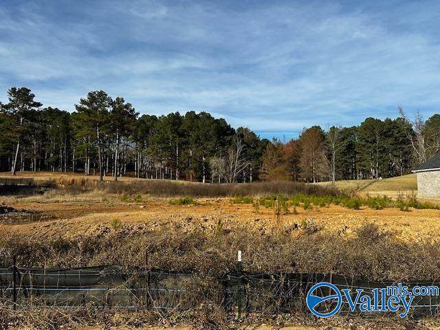 1316 Cherokee Ridge Drive - Photo 1
