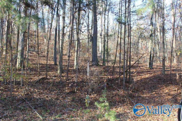 404 Tomahawk Circle - Photo 1