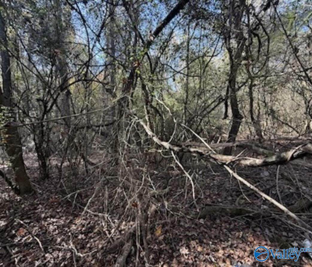 .3 acre lot Hine Street South - Photo 1