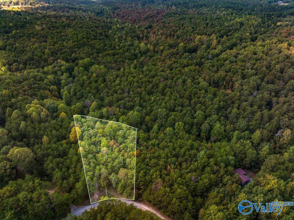 TRACT 20A Road 9002 - Photo 1