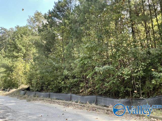 6783 Ivey Way - Photo 1