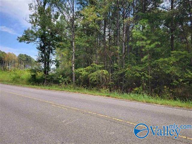 2500 County Road 63 - Photo 1