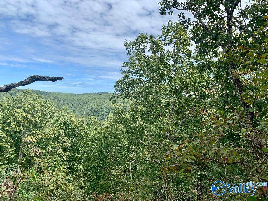 640 Blowing Cave Road - Photo 1