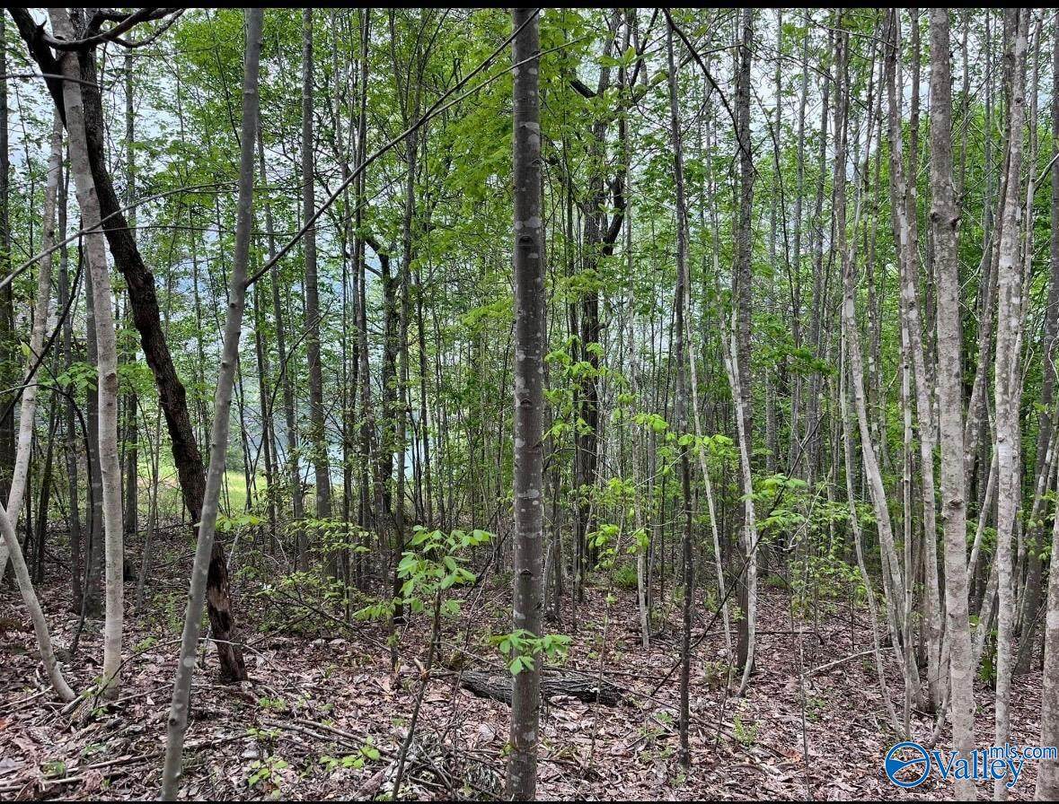 3.1+/- Brushy Creek Pointe - Photo 1