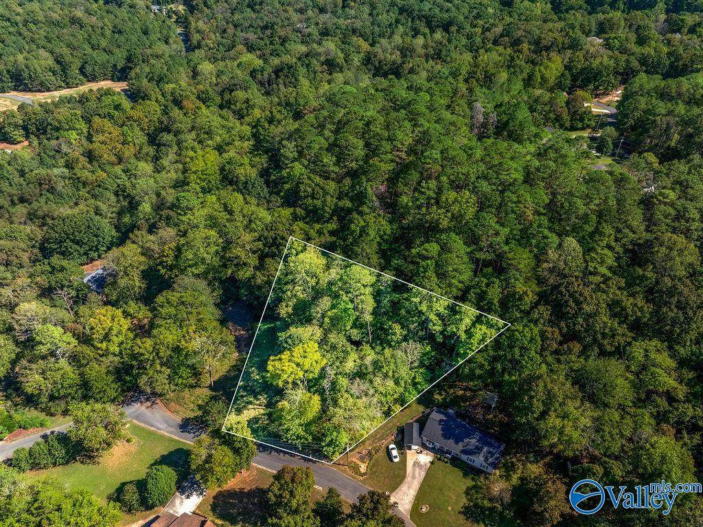 6423 Dogwood Lane - Photo 1