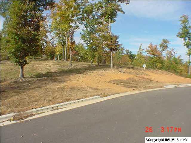 805 Lakewood Drive - Photo 1