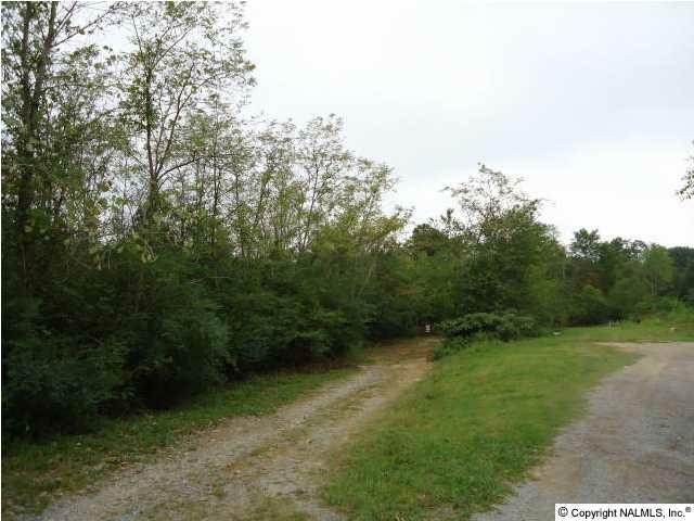 Foster Landing Road - Photo 1