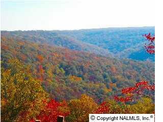 095 Blowing Cave Road - Photo 1