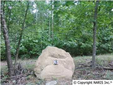 4201 Citadel Rock Road - Photo 1