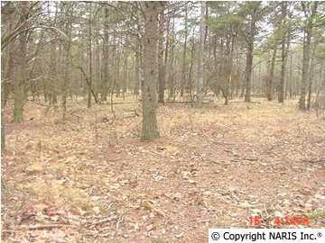 4215 Citadel Rock Road - Photo 1