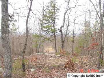 4225 Citadel Rock Road - Photo 1