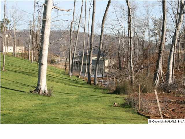 A Buck Island Drive - Photo 1