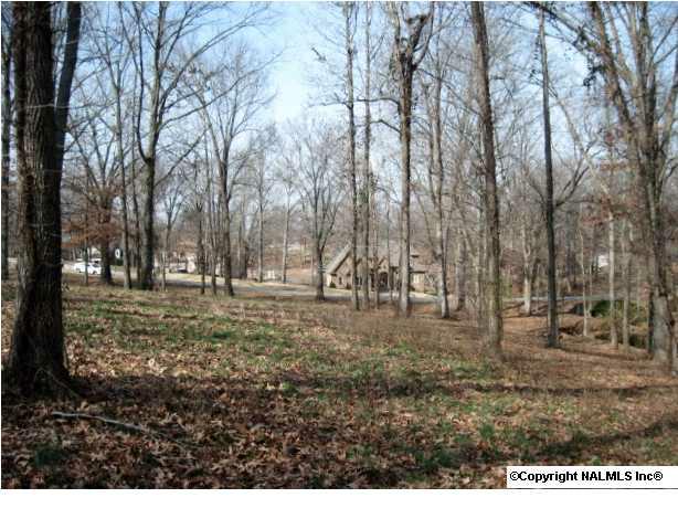 86 Saint Andrew Drive - Photo 1