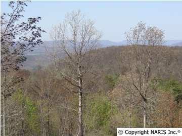 4611 Citadel Rock Road - Photo 1