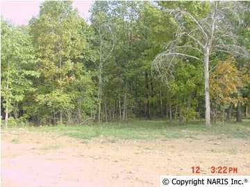 4621 Citadel Rock Road - Photo 1