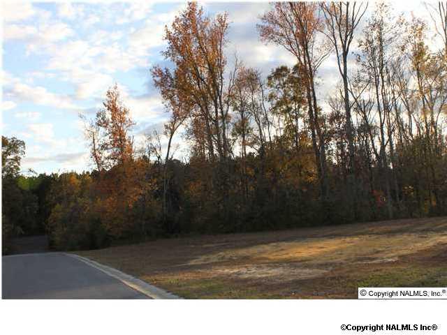 67 Woodmere Drive - Photo 1