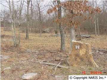 4235 Citadel Rock Road - Photo 1