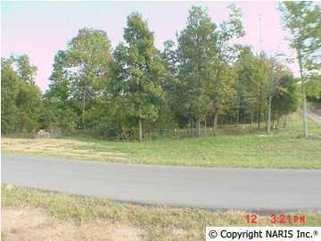 4615 Citadel Rock Road - Photo 1