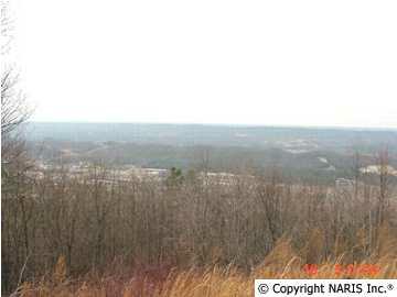 4220 Citadel Rock Road - Photo 1
